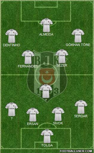Besiktas JK Formation 2013