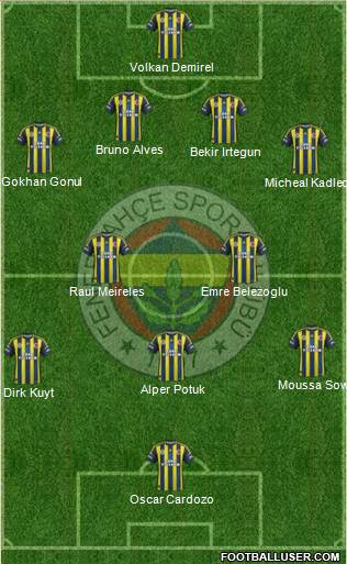 Fenerbahçe SK Formation 2013