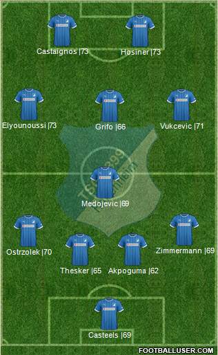 TSG 1899 Hoffenheim Formation 2013