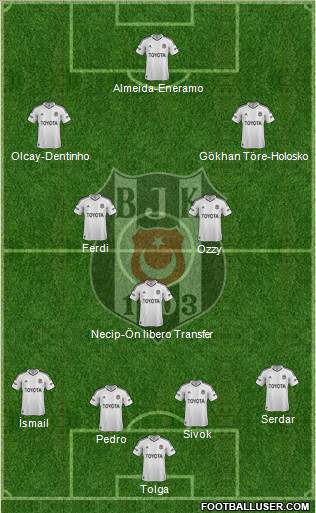 Besiktas JK Formation 2013