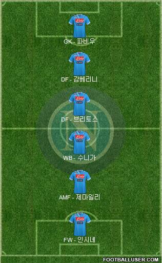 Napoli Formation 2013