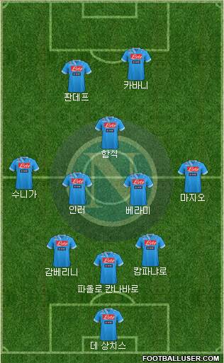 Napoli Formation 2013