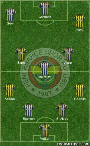 Fenerbahçe SK Formation 2013