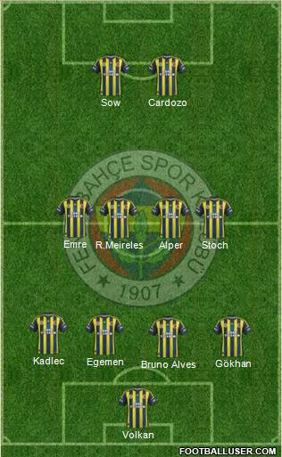 Fenerbahçe SK Formation 2013