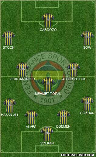 Fenerbahçe SK Formation 2013