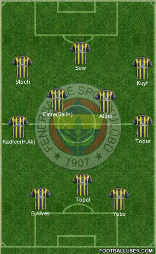 Fenerbahçe SK Formation 2013