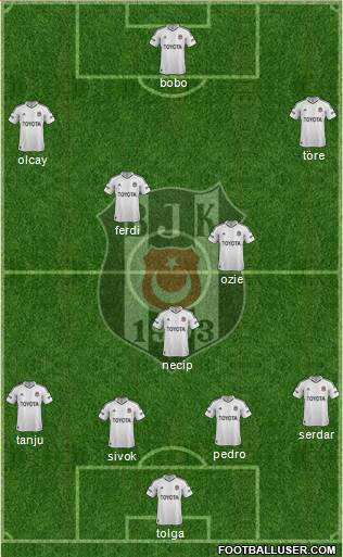 Besiktas JK Formation 2013