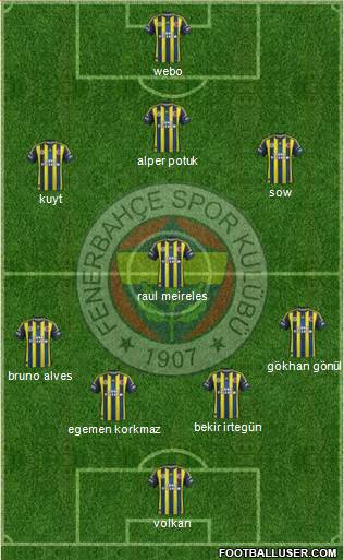 Fenerbahçe SK Formation 2013
