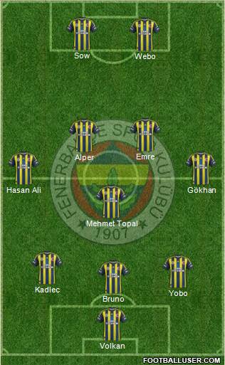 Fenerbahçe SK Formation 2013