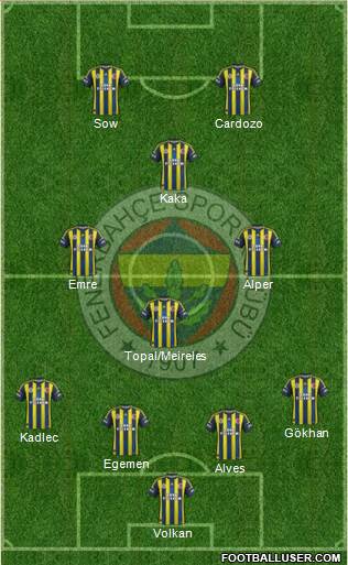 Fenerbahçe SK Formation 2013