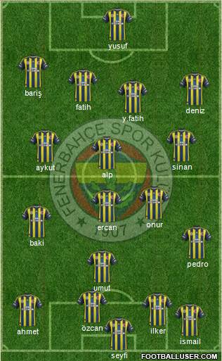 Fenerbahçe SK Formation 2013