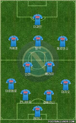 Napoli Formation 2013
