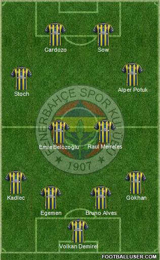 Fenerbahçe SK Formation 2013