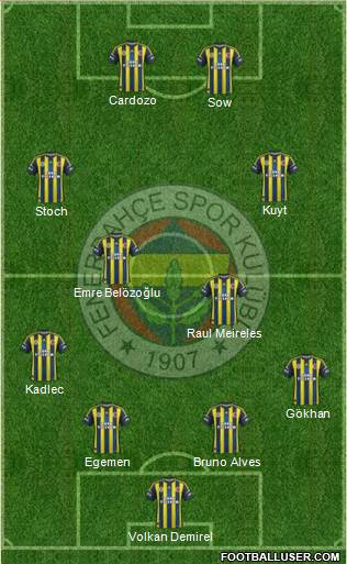 Fenerbahçe SK Formation 2013