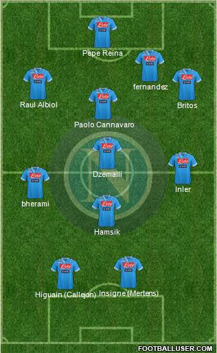 Napoli Formation 2013