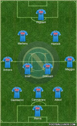 Napoli Formation 2013