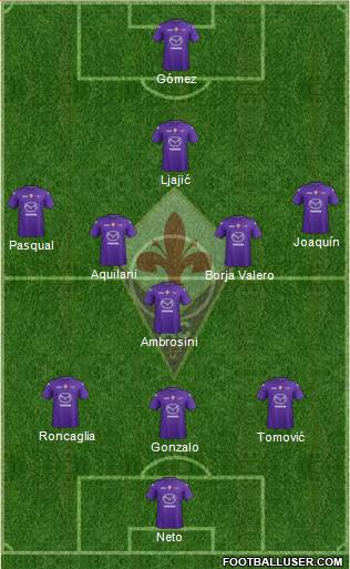Fiorentina Formation 2013