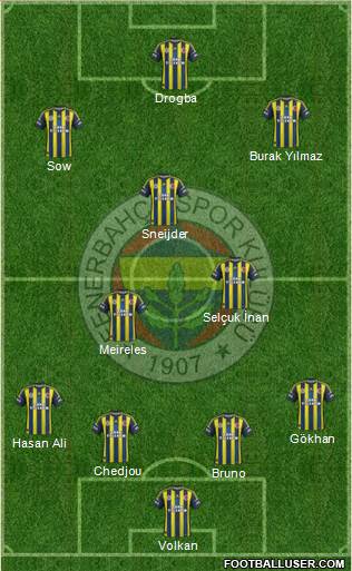 Fenerbahçe SK Formation 2013