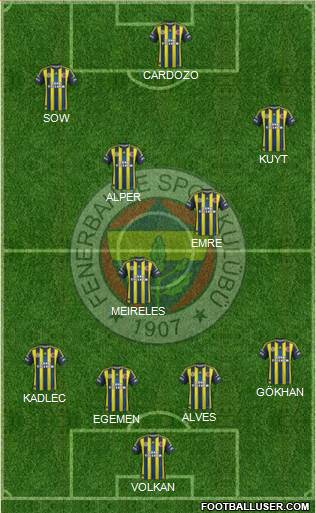 Fenerbahçe SK Formation 2013