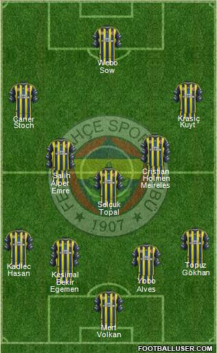 Fenerbahçe SK Formation 2013