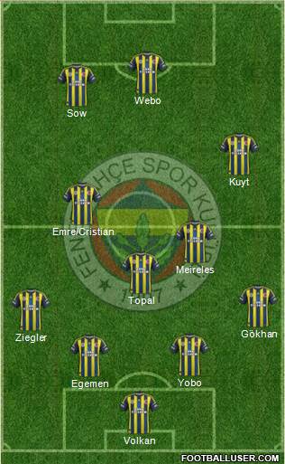 Fenerbahçe SK Formation 2013