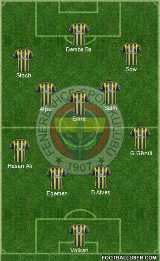 Fenerbahçe SK Formation 2013