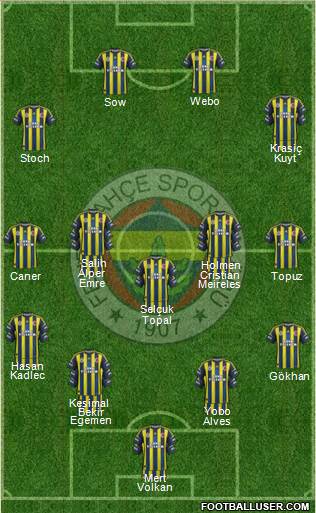 Fenerbahçe SK Formation 2013