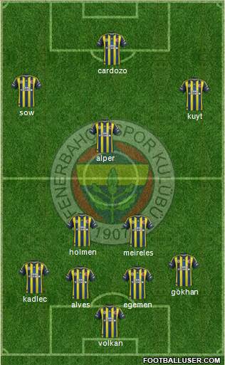 Fenerbahçe SK Formation 2013