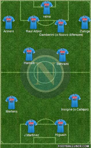 Napoli Formation 2013