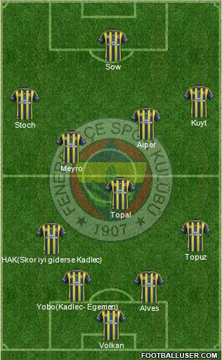 Fenerbahçe SK Formation 2013