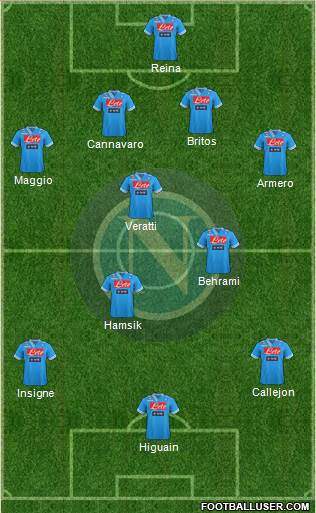 Napoli Formation 2013