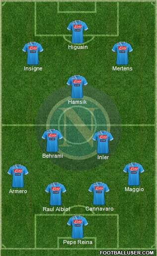 Napoli Formation 2013