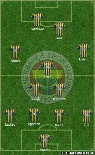Fenerbahçe SK Formation 2013