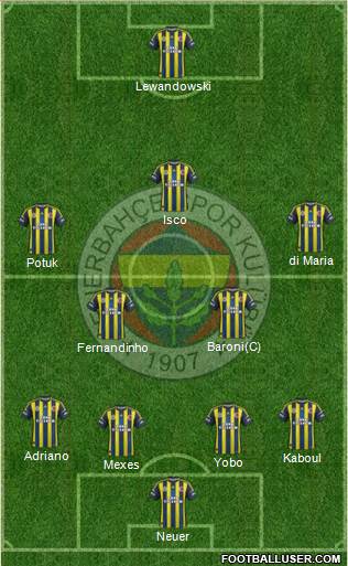 Fenerbahçe SK Formation 2013