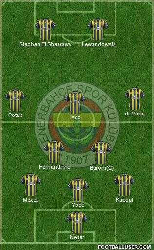 Fenerbahçe SK Formation 2013