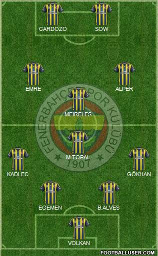 Fenerbahçe SK Formation 2013