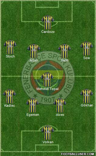 Fenerbahçe SK Formation 2013
