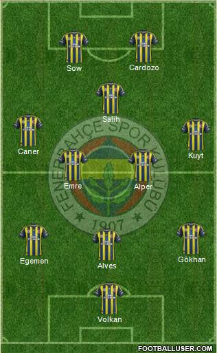 Fenerbahçe SK Formation 2013
