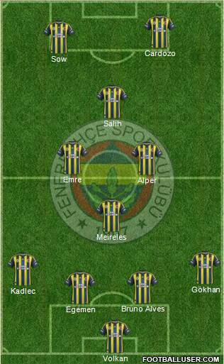 Fenerbahçe SK Formation 2013