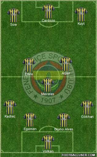 Fenerbahçe SK Formation 2013
