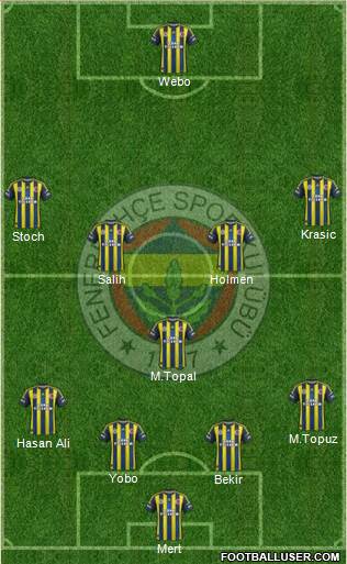 Fenerbahçe SK Formation 2013