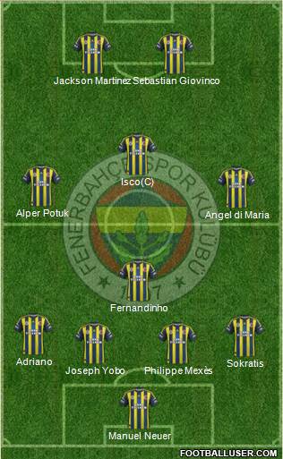 Fenerbahçe SK Formation 2013