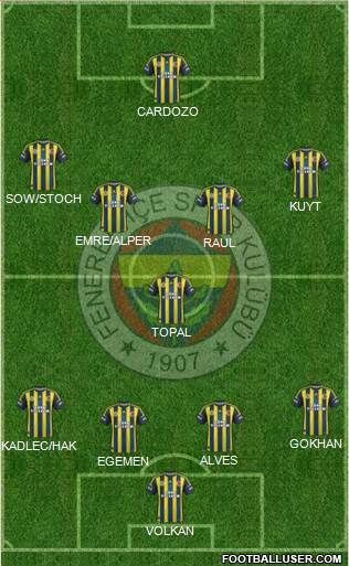 Fenerbahçe SK Formation 2013