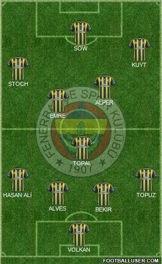 Fenerbahçe SK Formation 2013
