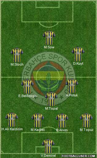 Fenerbahçe SK Formation 2013