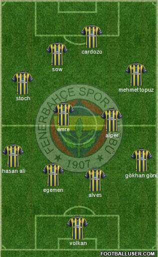 Fenerbahçe SK Formation 2013