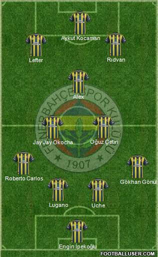 Fenerbahçe SK Formation 2013