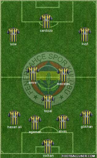 Fenerbahçe SK Formation 2013