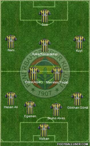 Fenerbahçe SK Formation 2013