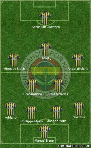 Fenerbahçe SK Formation 2013